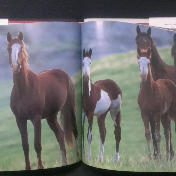 Thunder of the Mustangs Table Book - Picture 3 of 4
